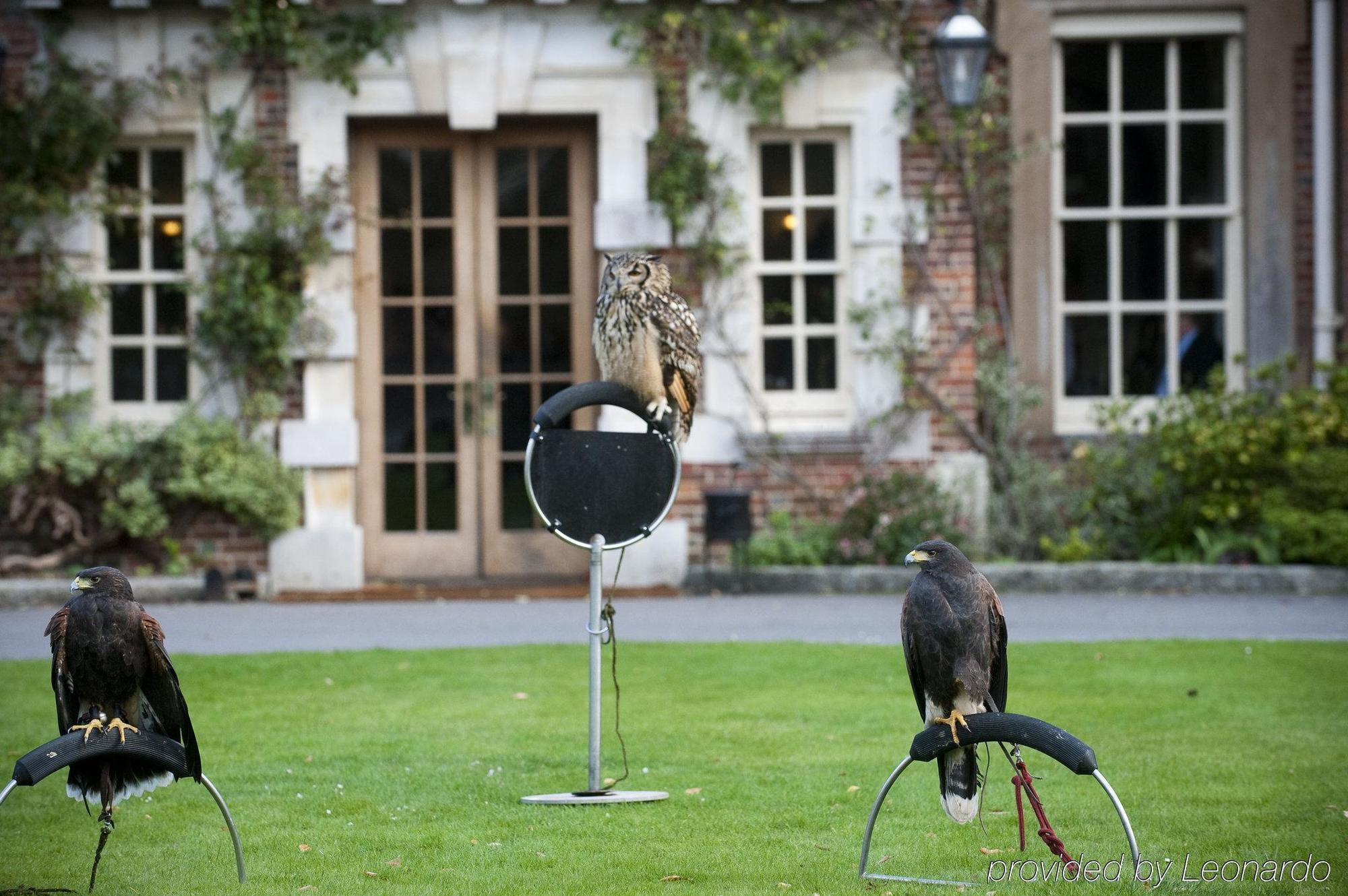 Lainston House Hotel Winchester Bekvemmeligheder billede